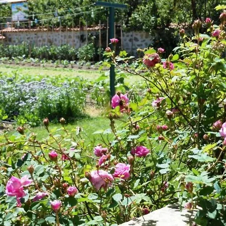 De Charme En Auvergne, Cour Fermee, Jardins Prives, Bbq, Babyfoot, Proche St Jacques De Compostelle - Fr-1-582-232 منزل ريفي