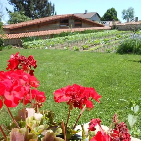 De Charme En Auvergne, Cour Fermee, Jardins Prives, Bbq, Babyfoot, Proche St Jacques De Compostelle - Fr-1-582-232 *