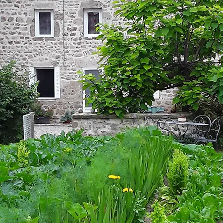 منزل ريفي De Charme En Auvergne, Cour Fermee, Jardins Prives, Bbq, Babyfoot, Proche St Jacques De Compostelle - Fr-1-582-232
