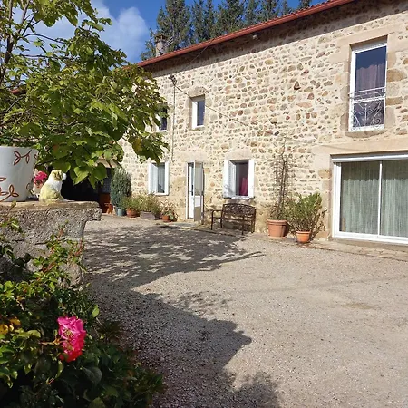 De Charme En Auvergne, Cour Fermee, Jardins Prives, Bbq, Babyfoot, Proche St Jacques De Compostelle - Fr-1-582-232 * Saint-Georges-Lagricol