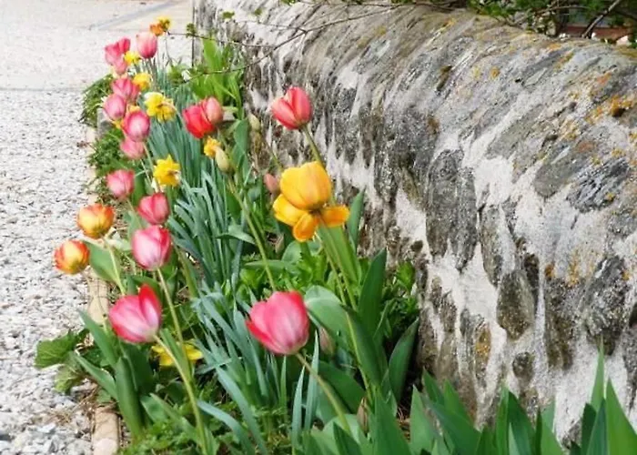 De Charme En Auvergne, Cour Fermee, Jardins Prives, Bbq, Babyfoot, Proche St Jacques De Compostelle - Fr-1-582-232 * Saint-Georges-Lagricol