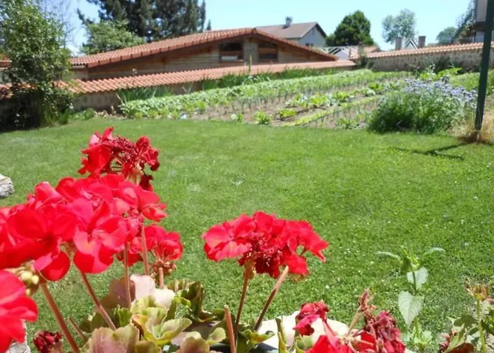 De Charme En Auvergne, Cour Fermee, Jardins Prives, Bbq, Babyfoot, Proche St Jacques De Compostelle - Fr-1-582-232 *